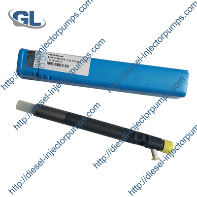 ποιότητας  Delphi Diesel Fuel Injector EJBR04901D 28280600 For TATA 278901160101 Εργοστάσιο