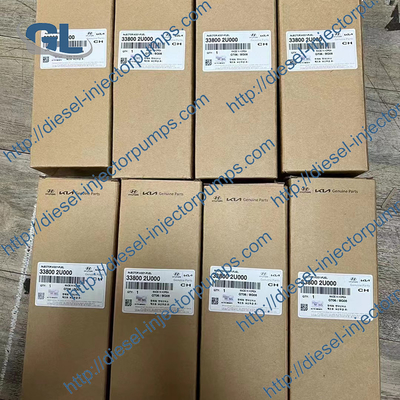 Αρχικός νέος κοινός εγχυτήρας 33800-2U000 καυσίμων ραγών για τη Hyundai KIA