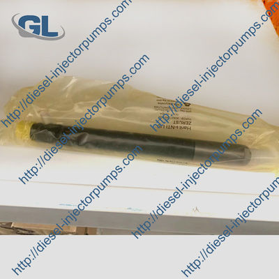 Εγχυτήρας EJBR04901D 28280600 καυσίμων diesel των Δελφών για TATA 278901160101